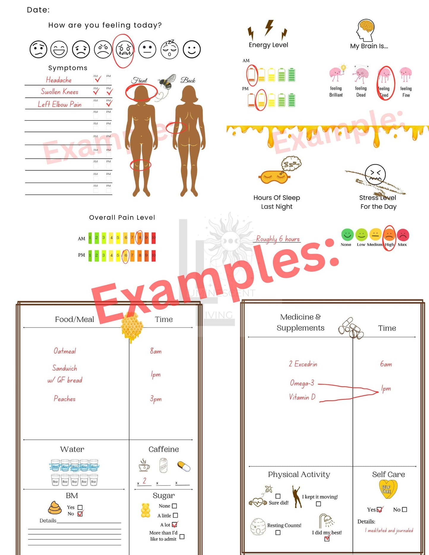 Bee Medical Symptoms Tracking Journal (Digital)